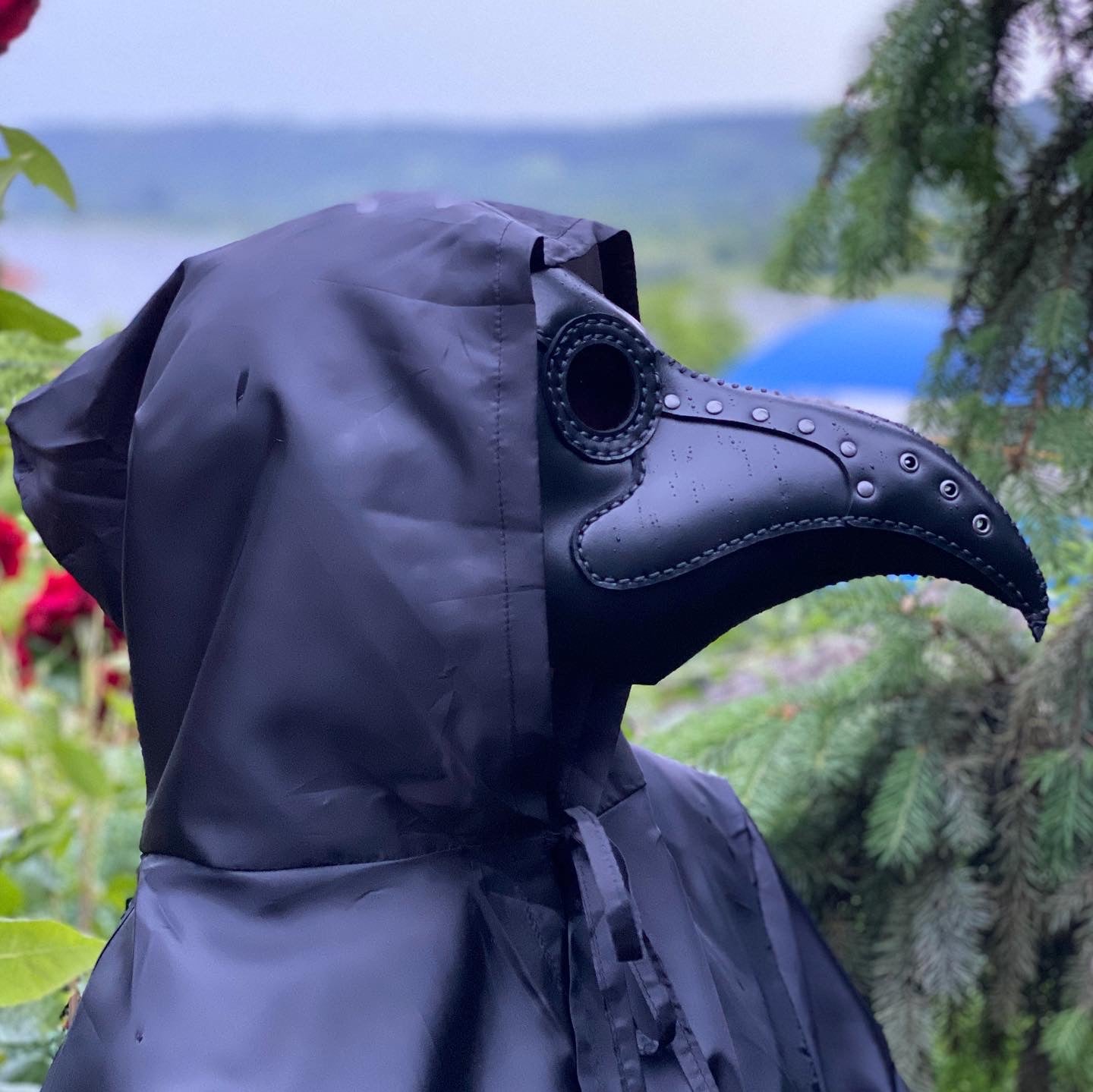 Plague Doctor Mask