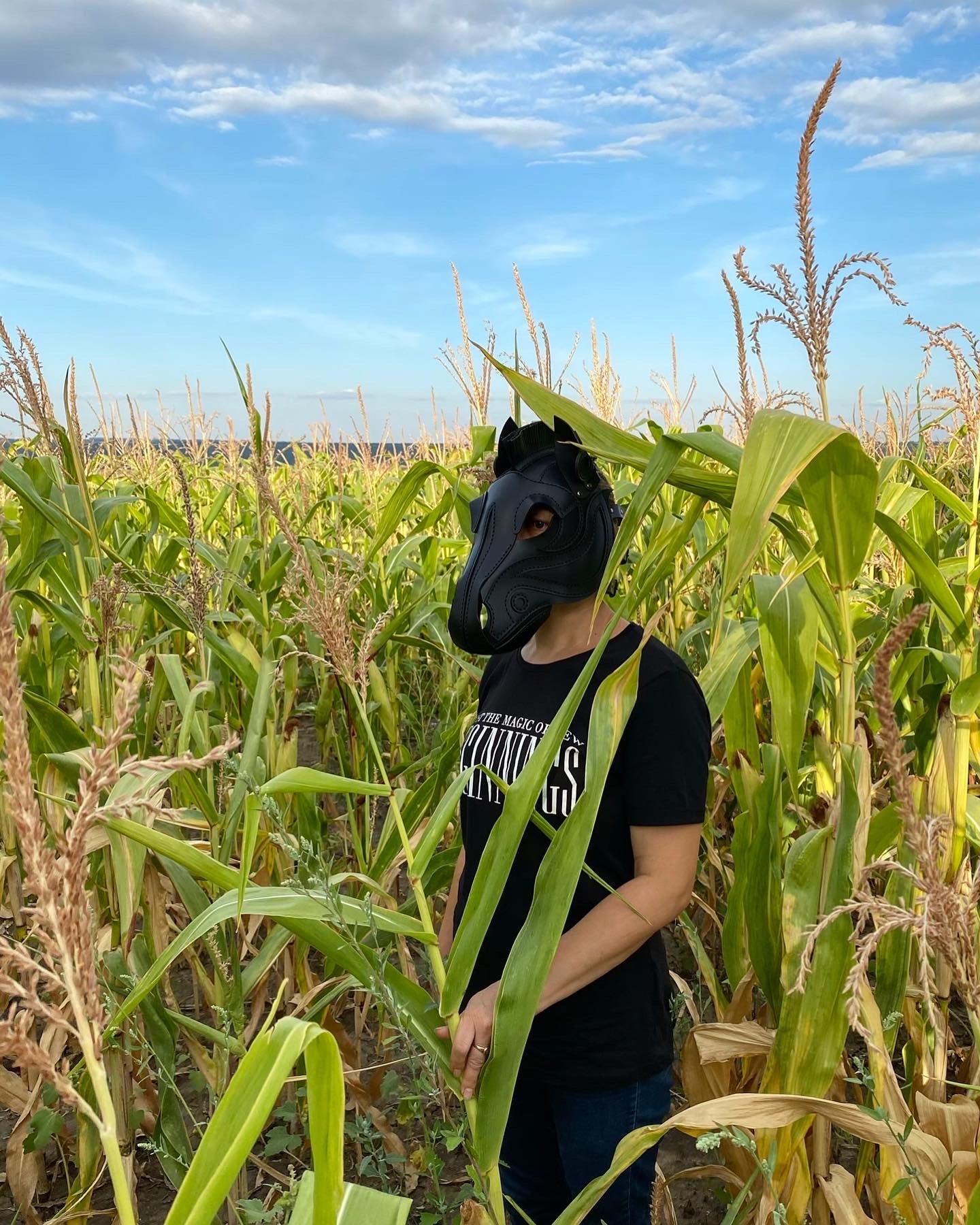 Leather Horse Mask