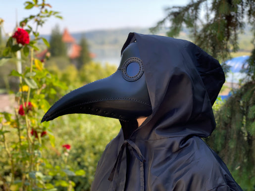 Plague Doctor Mask