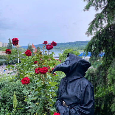 Plague Doctor Mask